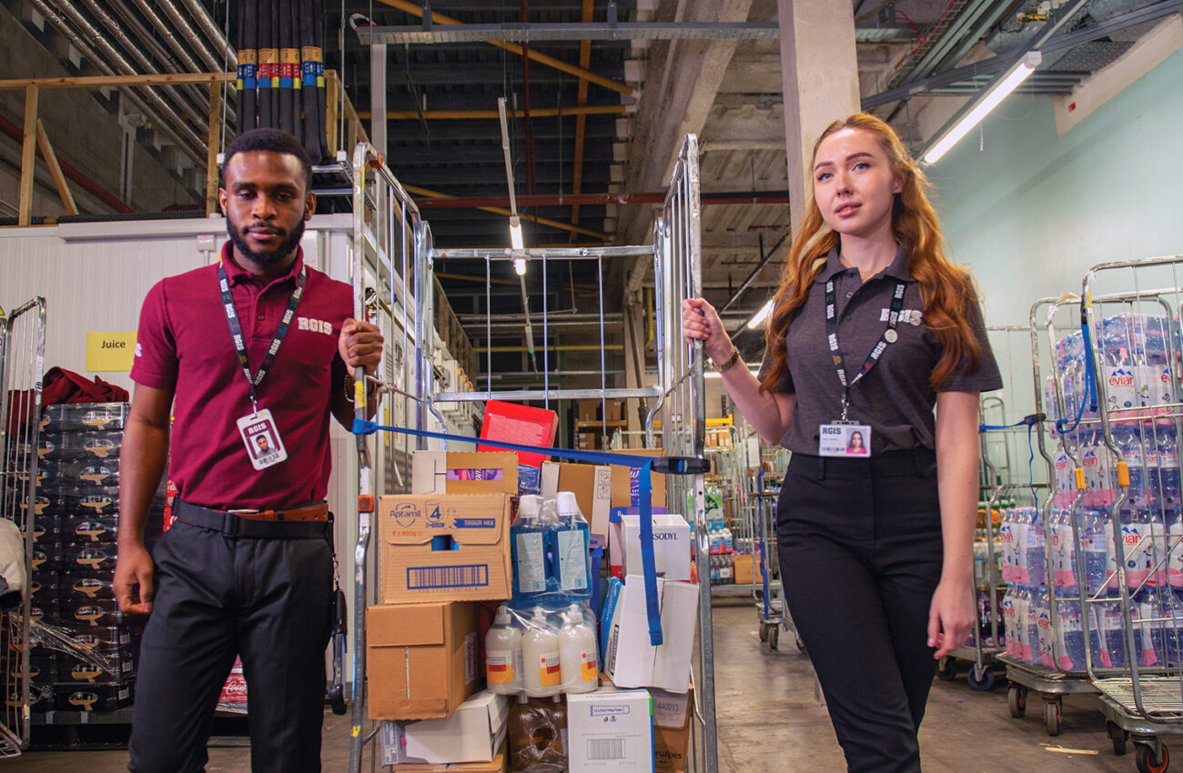 Shrink Analysis Audits