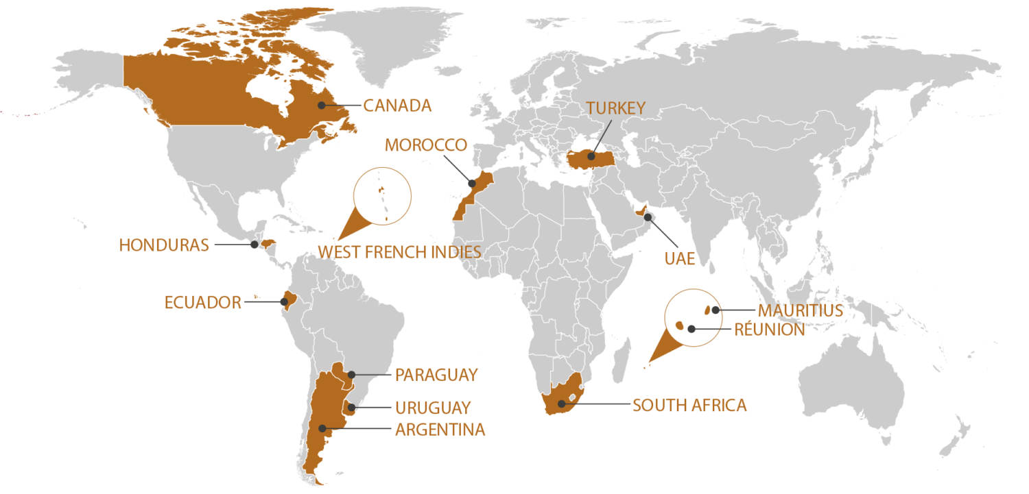 RGIS_FRANCHISE_WORLD_EN_1125. RGIS Franchise