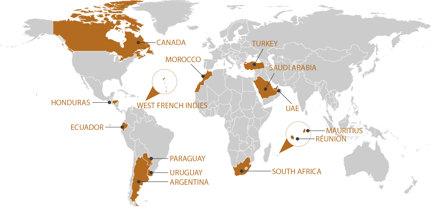RGIS_FRANCHISE_WORLD_EN RGIS_FRANCHISE_WORLD_EN